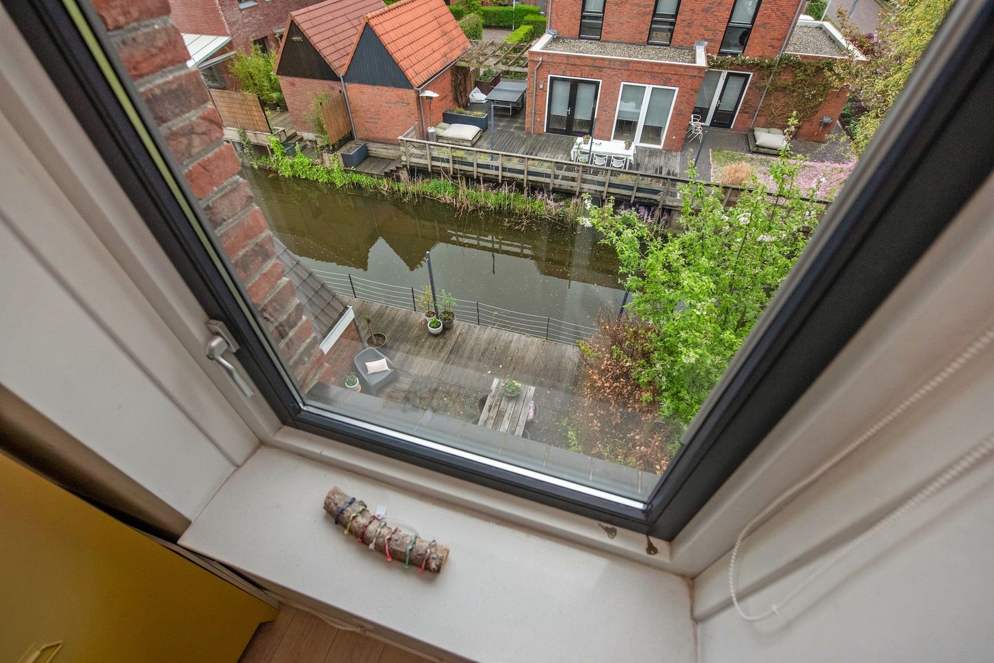 Foto 35 van Ribbelzegge 3