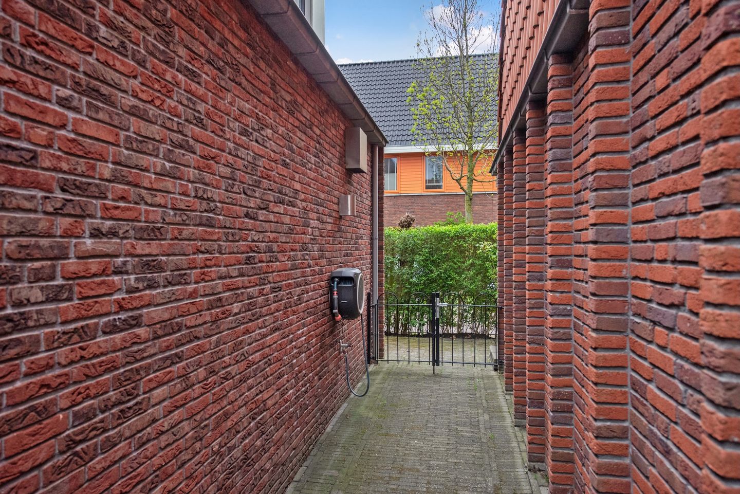 Foto 40 van Ribbelzegge 3