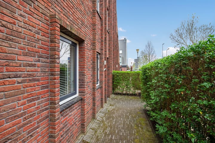 Foto 42 van Ribbelzegge 3