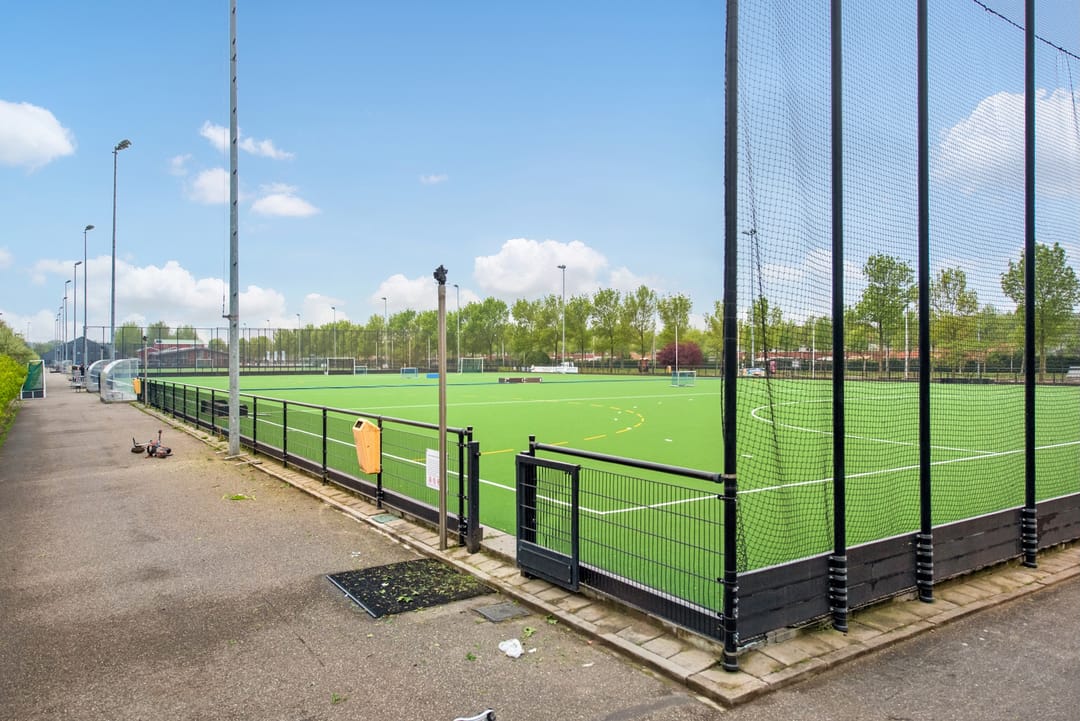 Foto 46 van Ribbelzegge 3