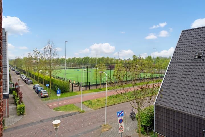 Foto 48 van Ribbelzegge 3