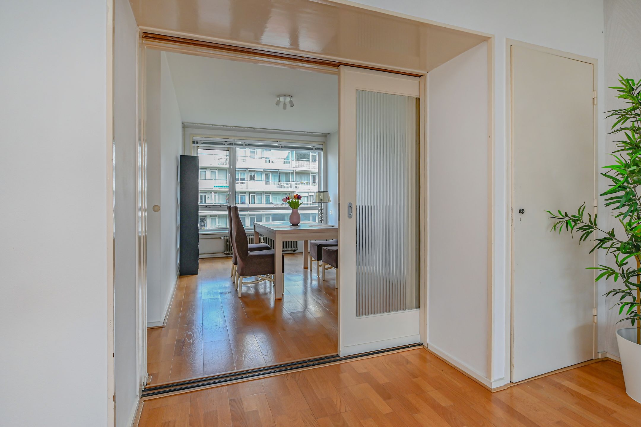 Foto 12 van Saffierhorst 186