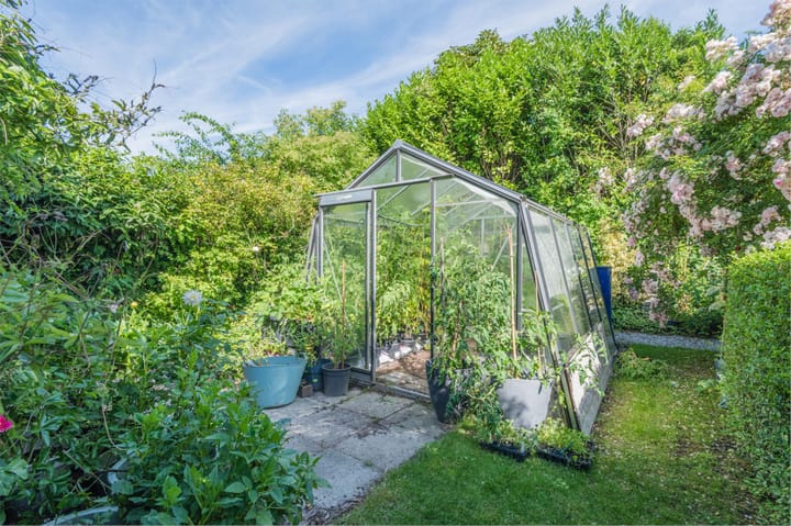 Photo 55 of Schoolstraat 69