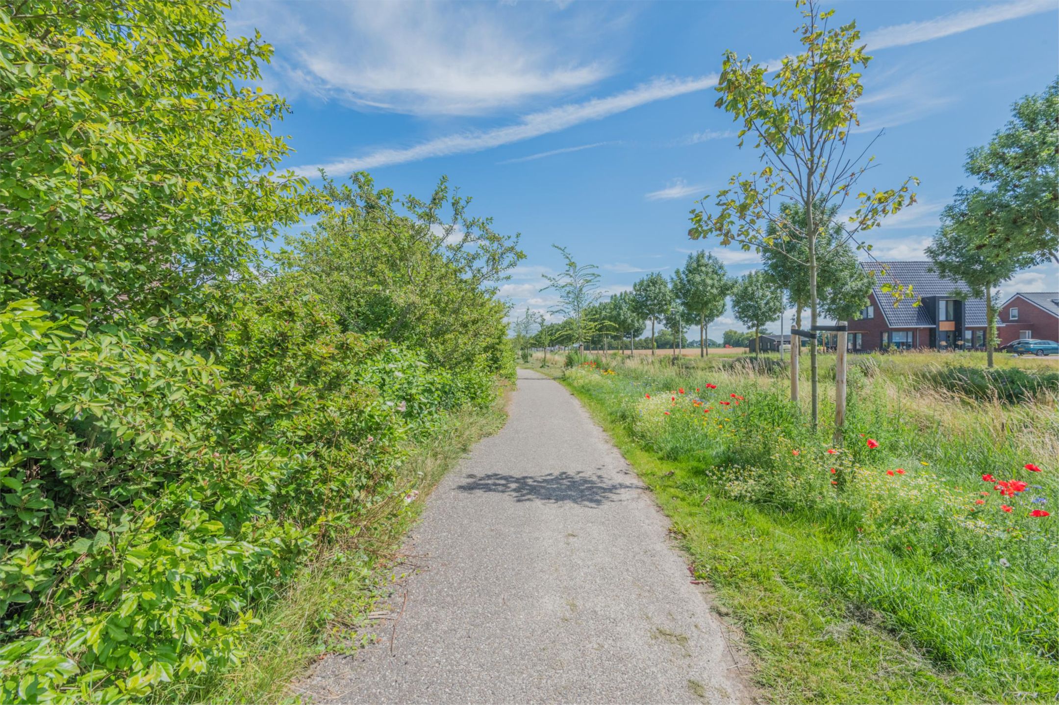 Foto 60 van Schoolstraat 69