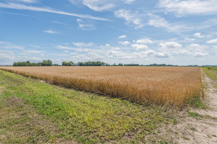 Photo 61 of Schoolstraat 69