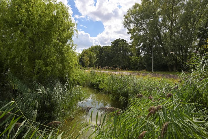 Foto 44 van Abdis Johannastraat 28