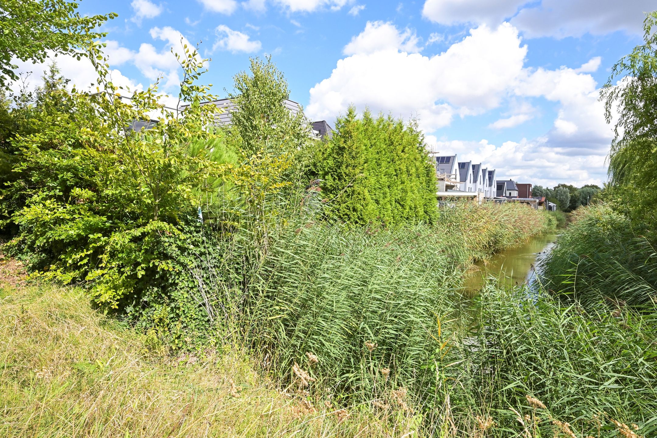 Foto 60 van Abdis Johannastraat 28