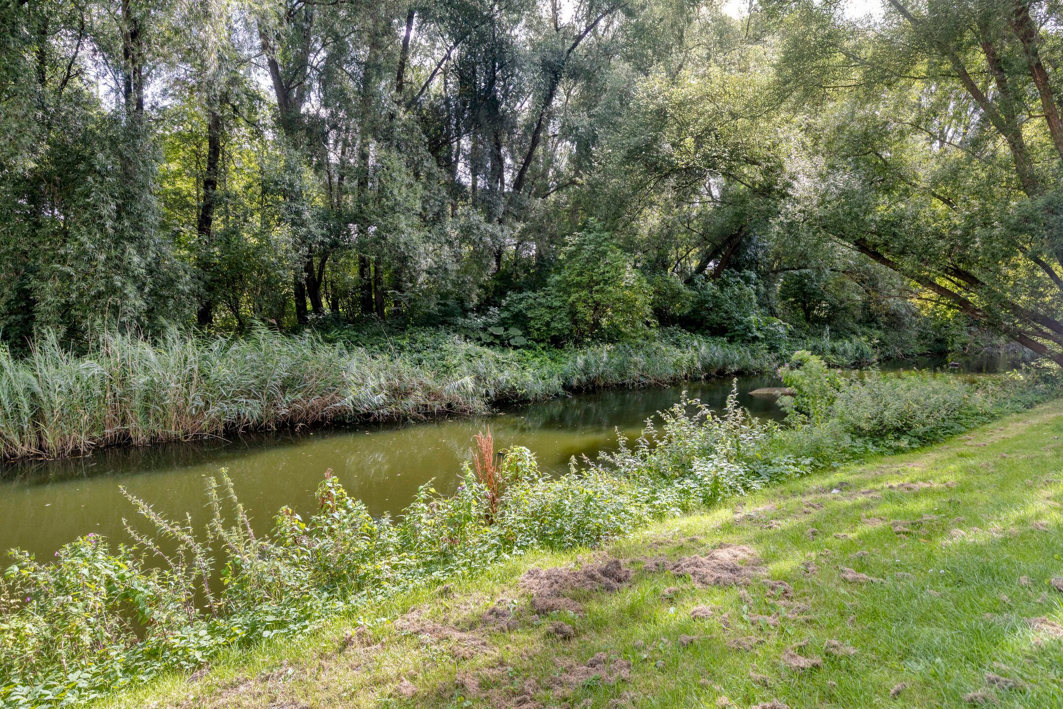 Foto 12 van Harry Koningsbergerstraat 200