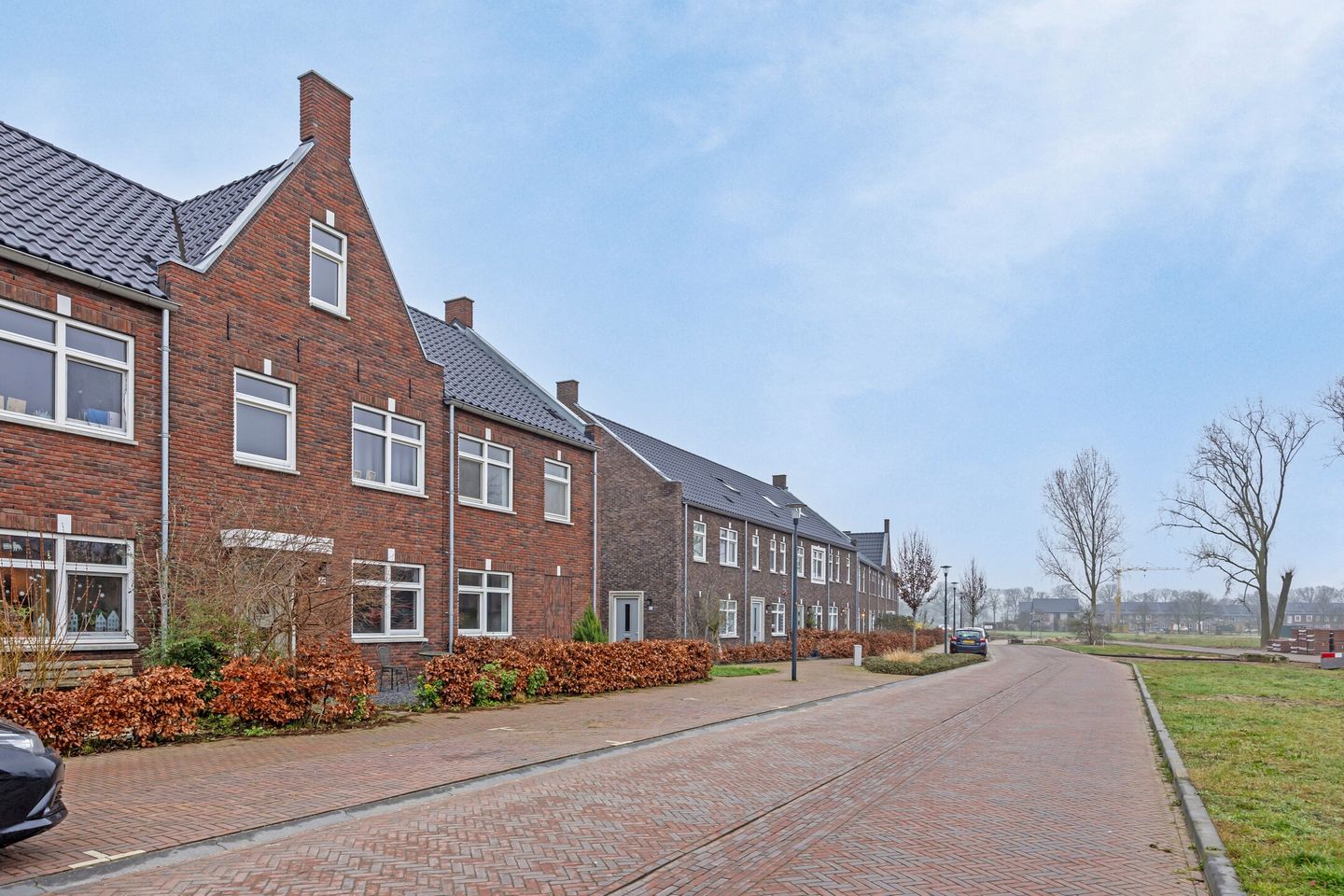 Foto 1 van Janus Baulingstraat 67