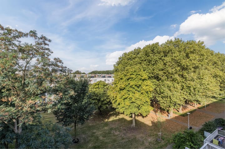 Foto 25 van Dantestraat 136