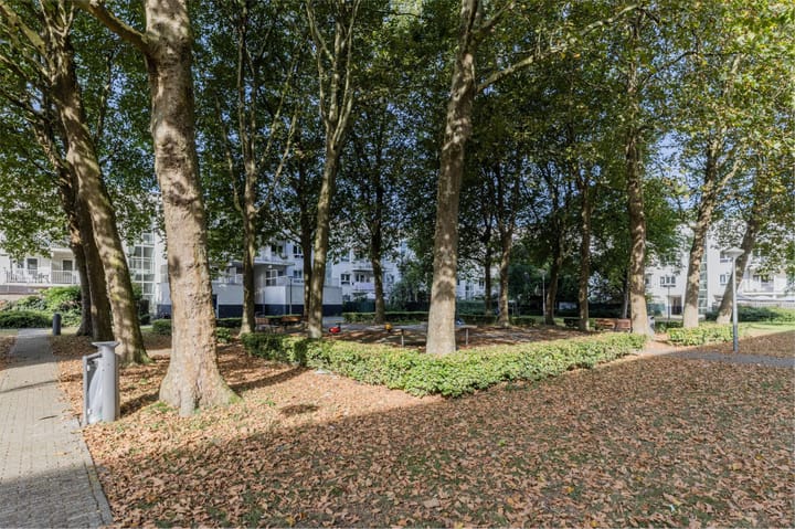 Foto 32 van Dantestraat 136