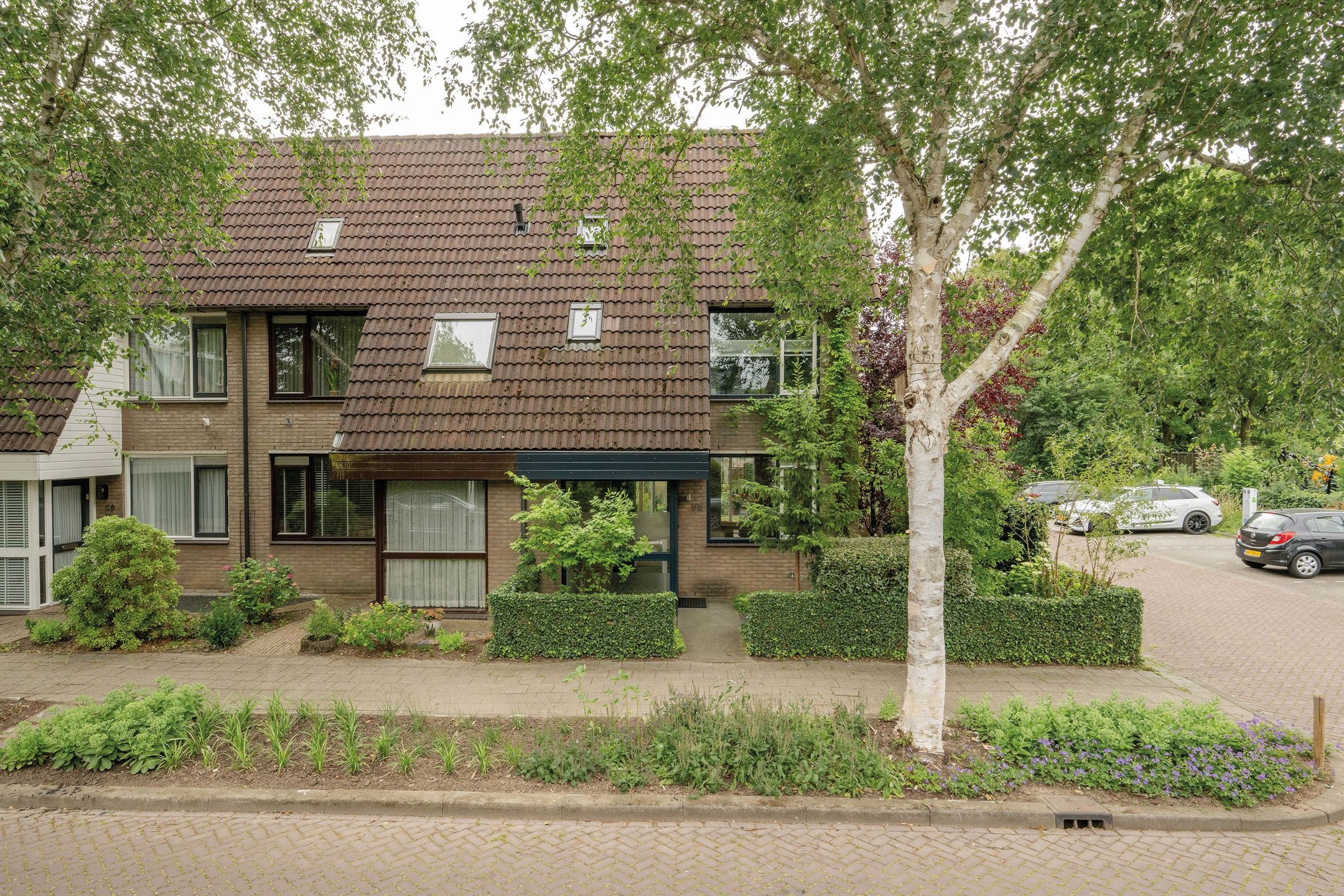 Foto 45 van Berkeboom 55