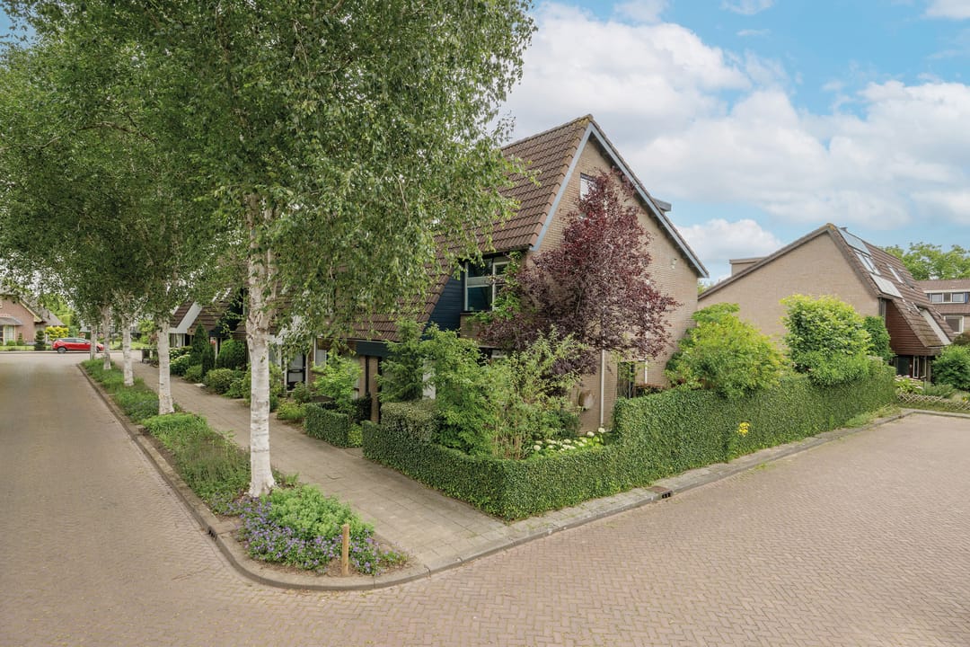 Foto 1 van Berkeboom 55