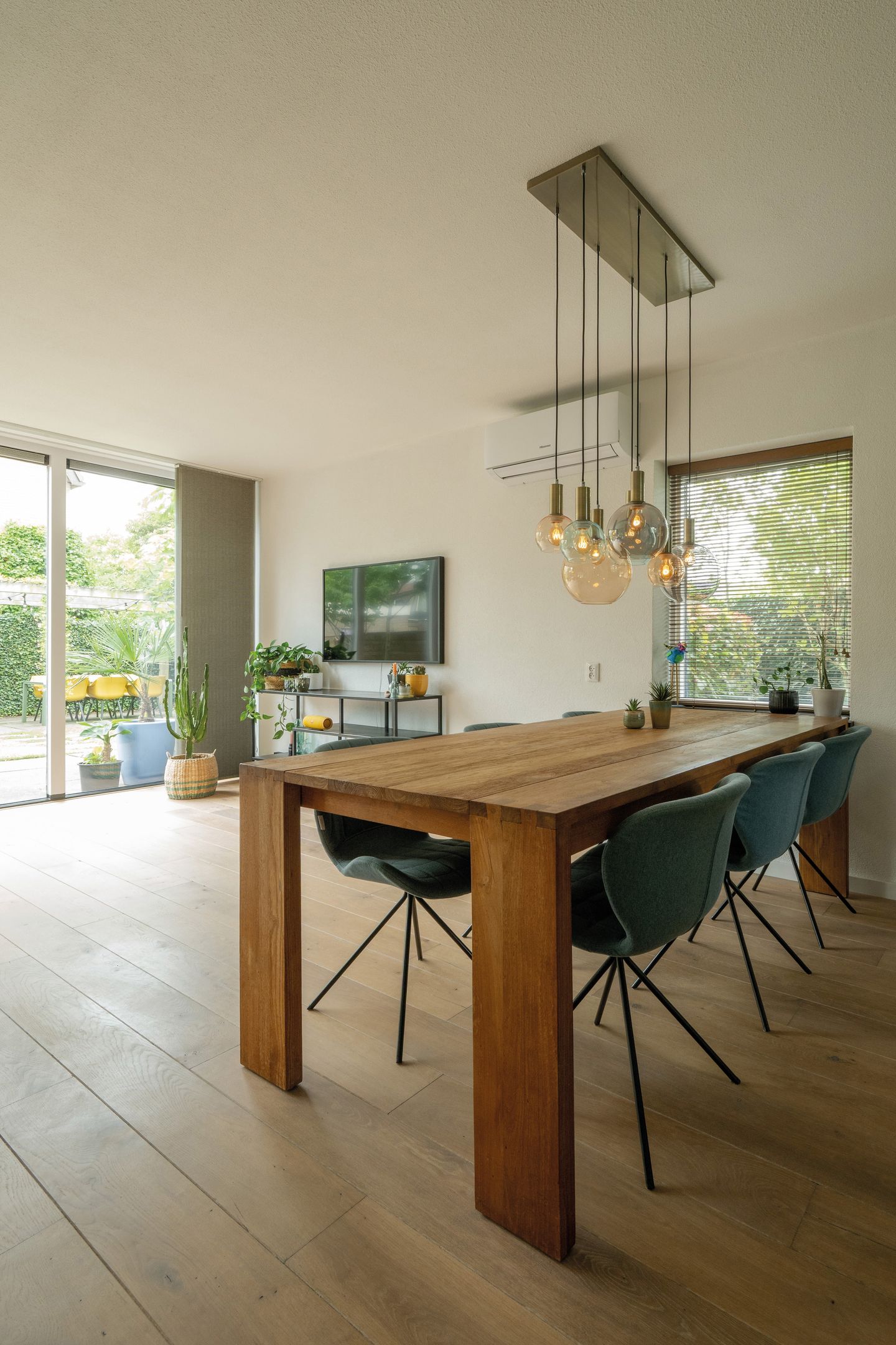 Foto 5 van Berkeboom 55