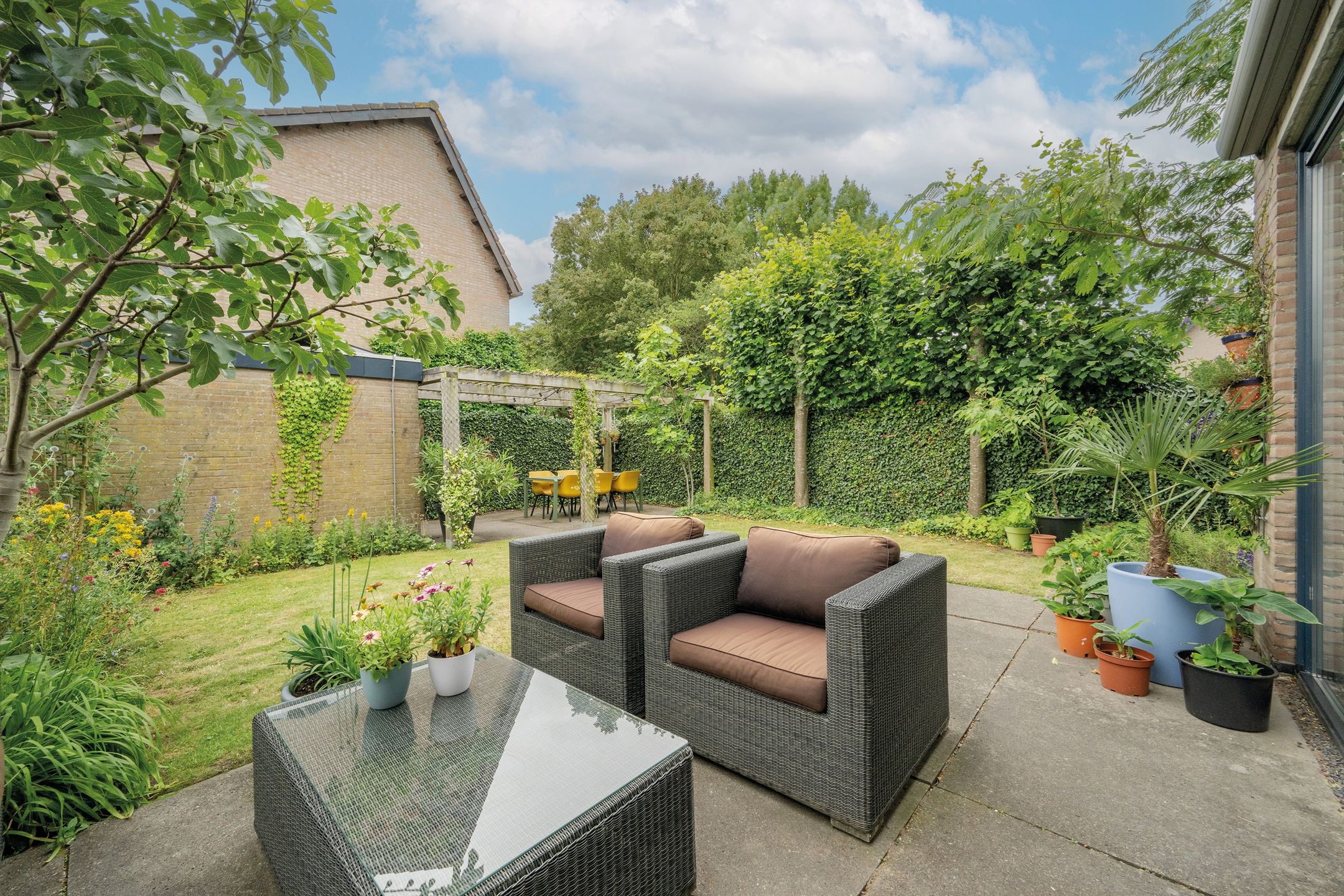 Foto 18 van Berkeboom 55