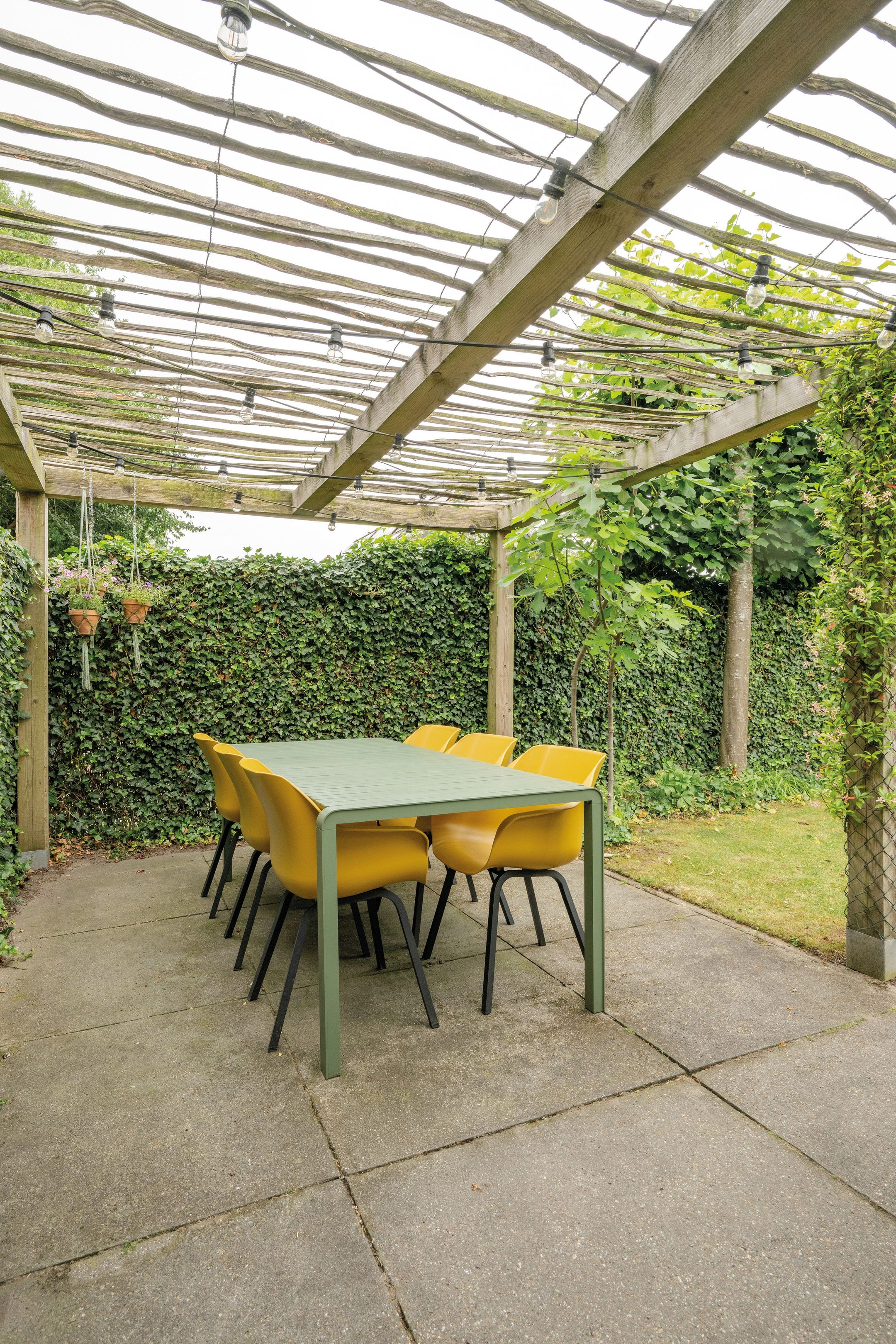 Foto 21 van Berkeboom 55