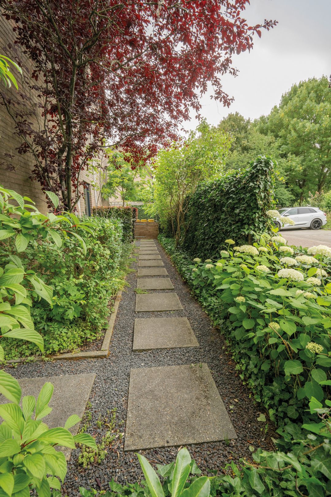 Foto 23 van Berkeboom 55