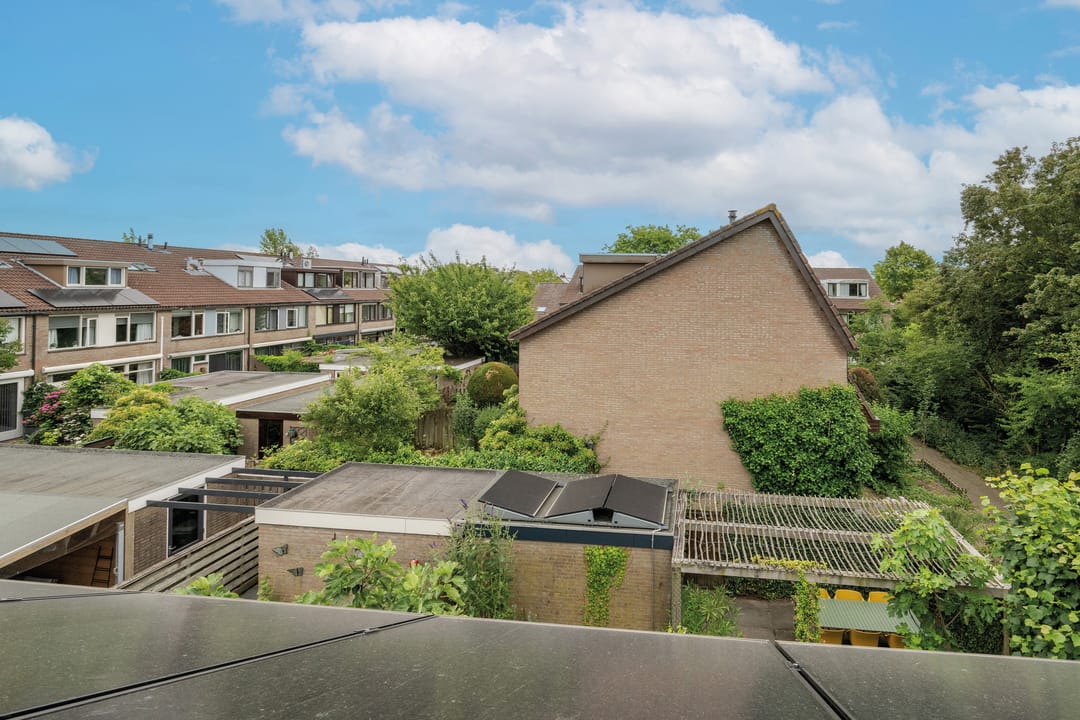 Foto 41 van Berkeboom 55