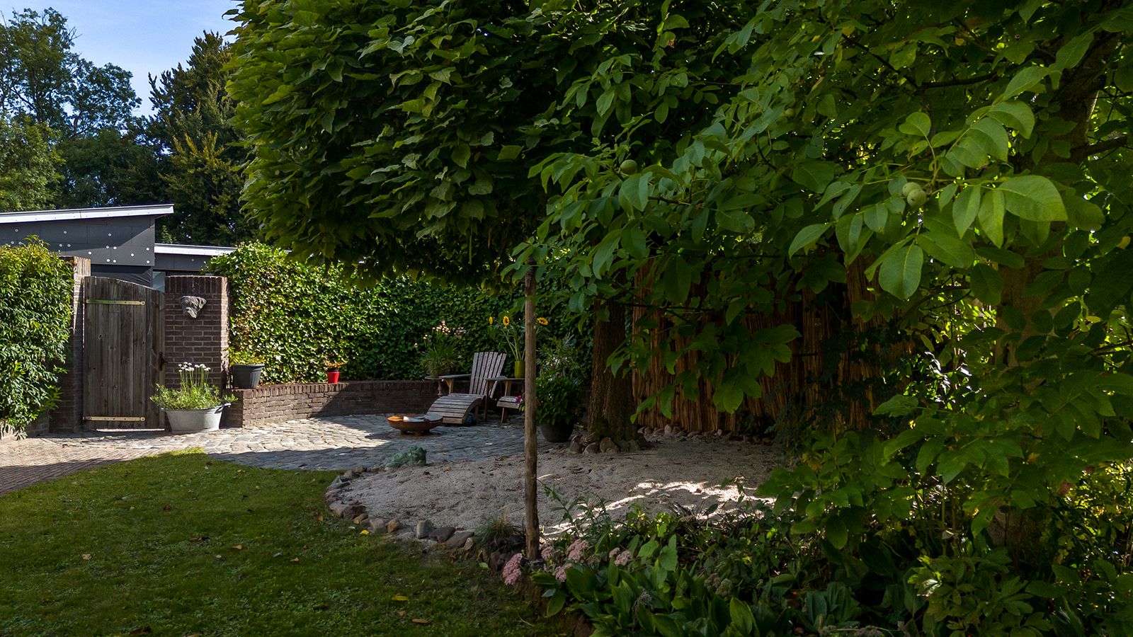 Foto 24 van Buijsroggestraat 13