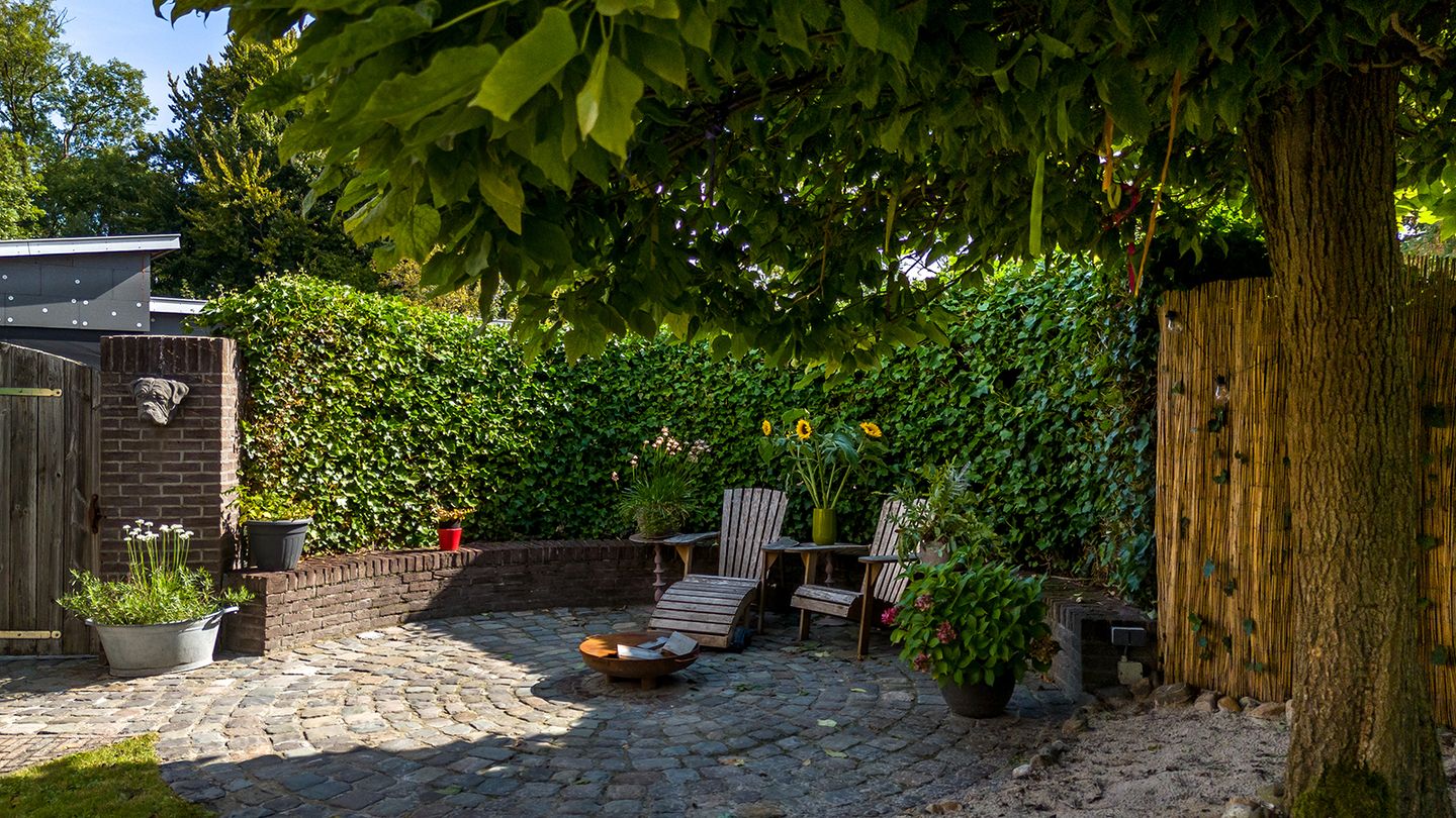 Foto 25 van Buijsroggestraat 13