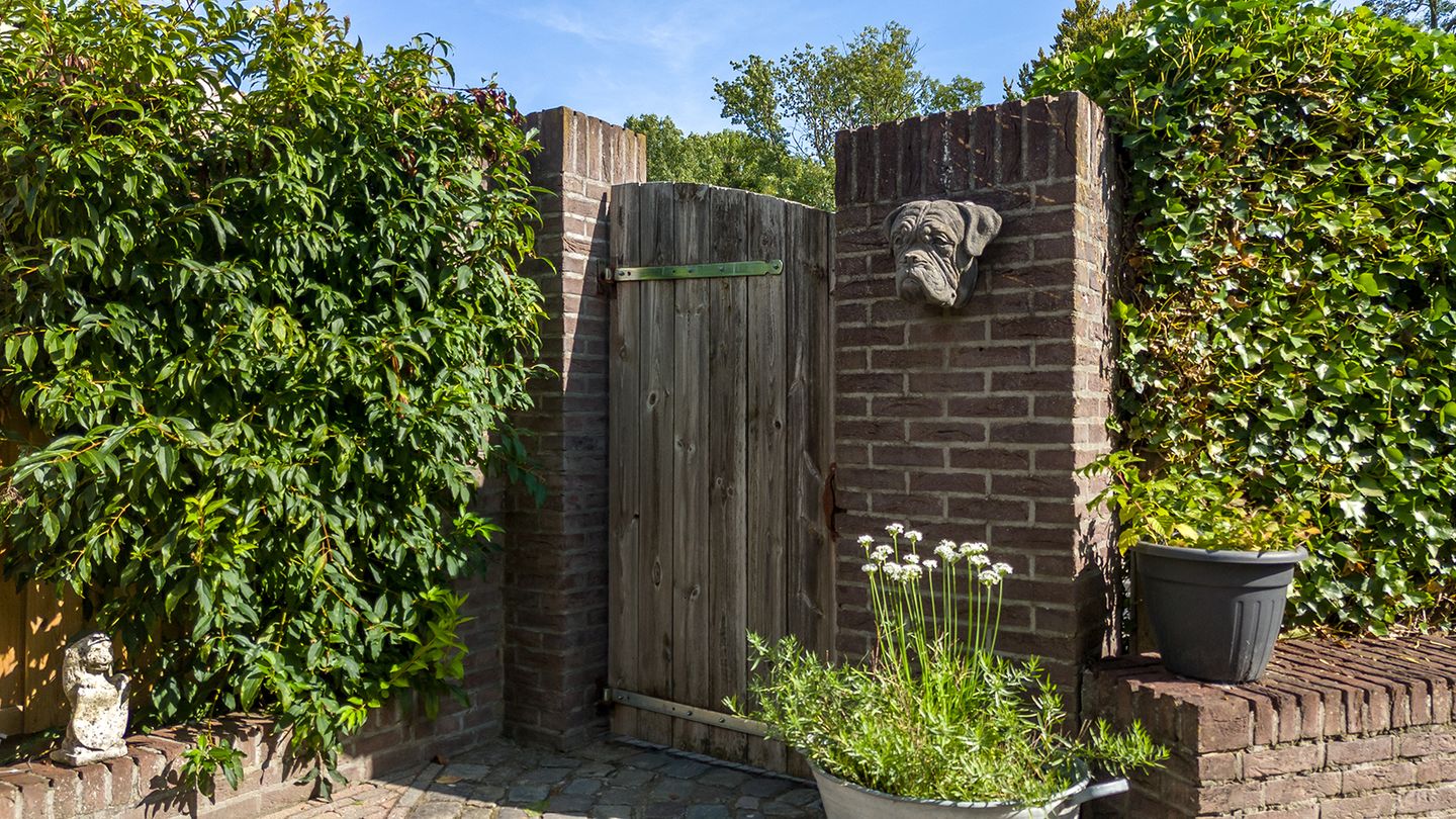 Foto 29 van Buijsroggestraat 13