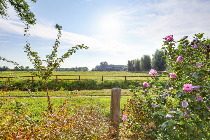 Photo 3 of Graspieper 62