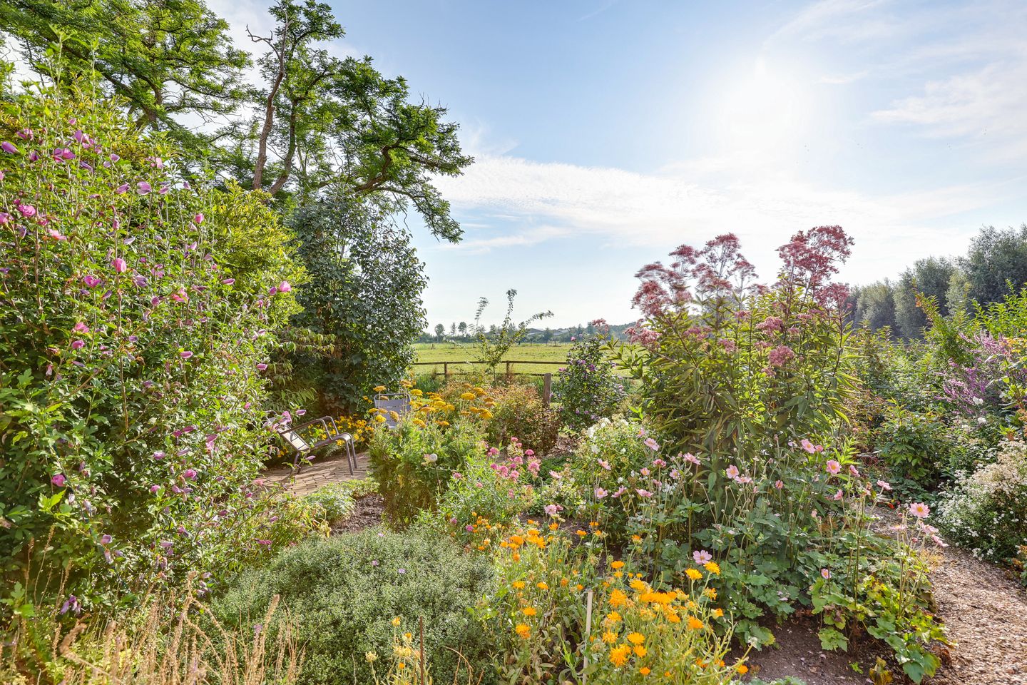 Foto 4 van Graspieper 62