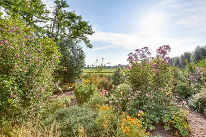 Photo 4 of Graspieper 62