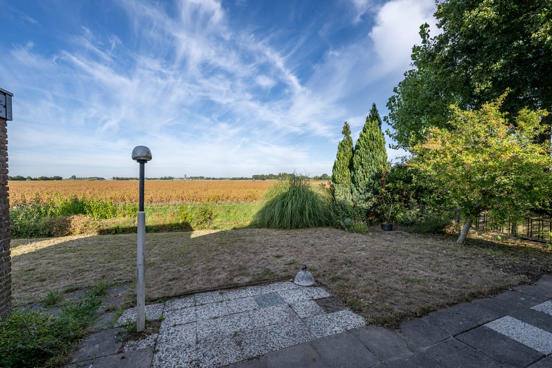 Photo 26 of Koolmees 41