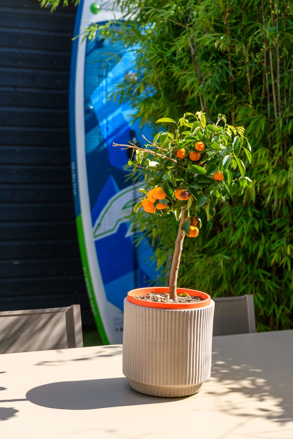 Photo 9 of Cornelis Kraijenhoffstraat 12