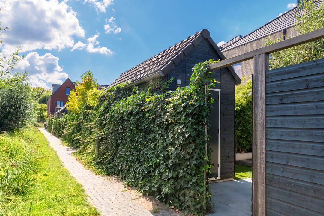 Photo 31 of Cornelis Kraijenhoffstraat 12