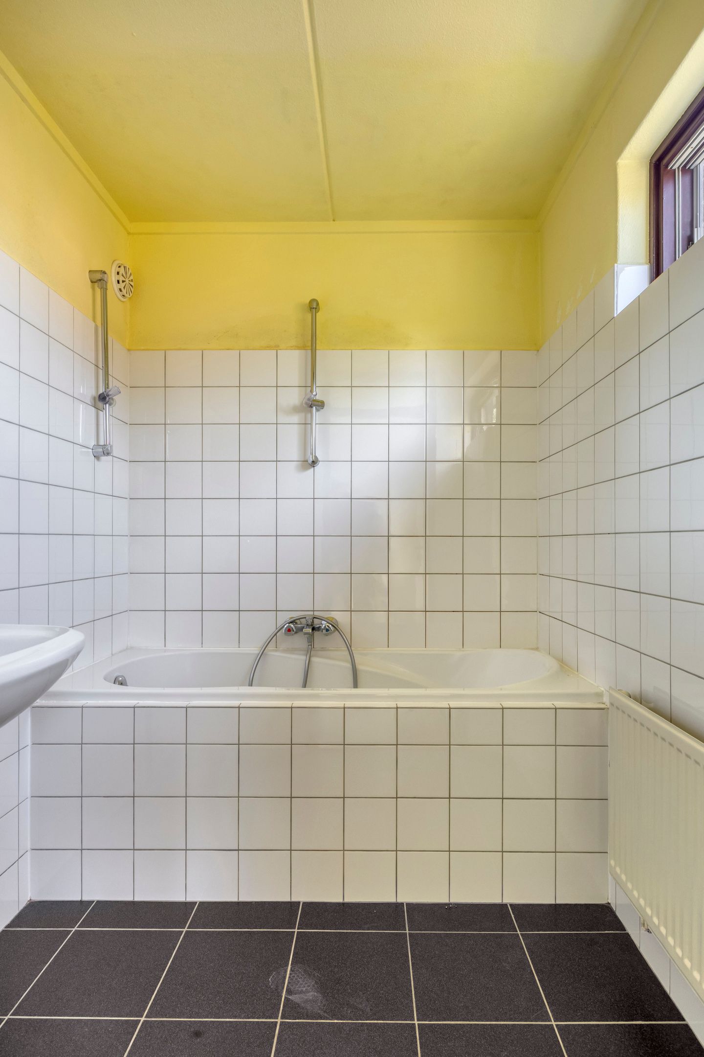 Foto 25 van Rietgors 27