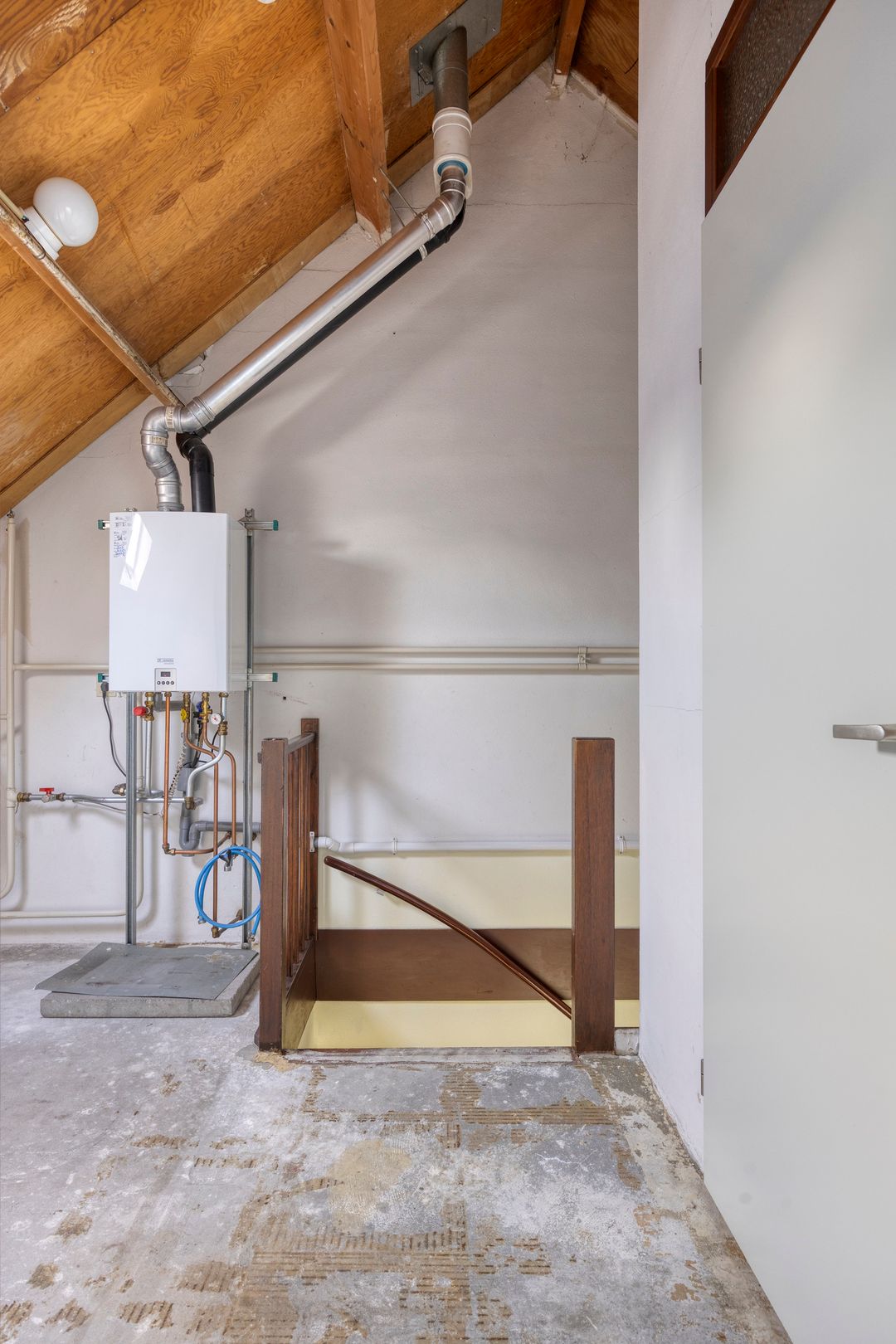 Foto 31 van Rietgors 27