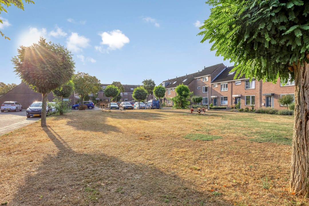 Foto 37 van Rietgors 27