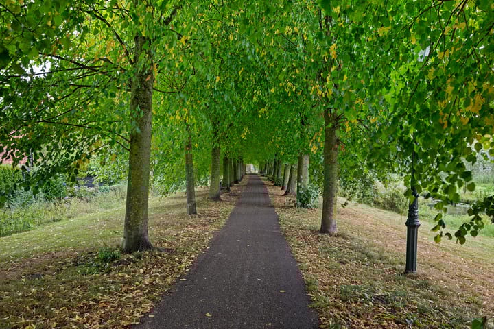 Foto 53 van Kerkstraat 17