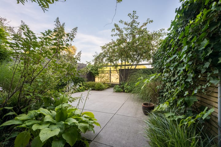 Foto 63 van Fangorn 32