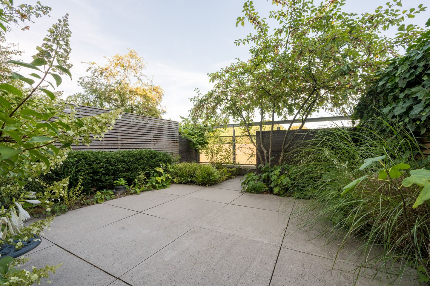 Foto 64 van Fangorn 32