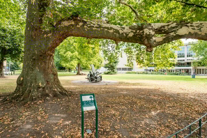 Foto 48 van Keizerstraat 9