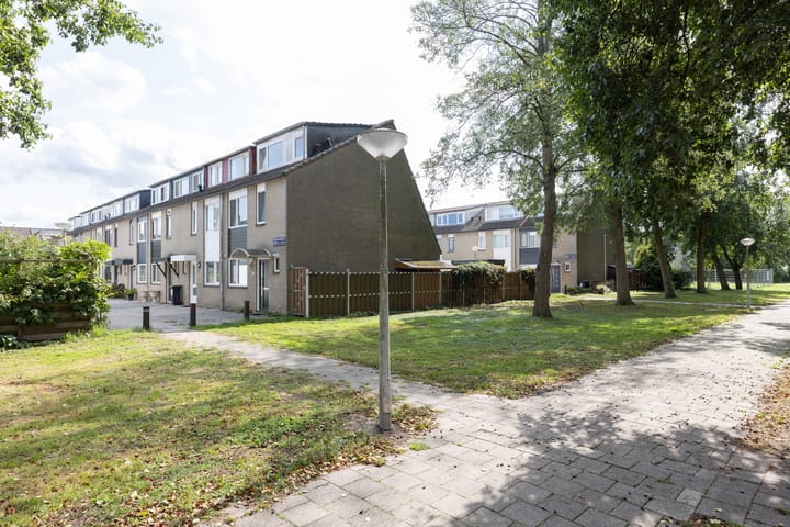 Foto 29 van Cornelis Aarnoutsstraat 79