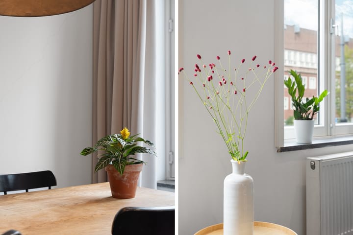 Photo 7 of Hoofdweg 336-1