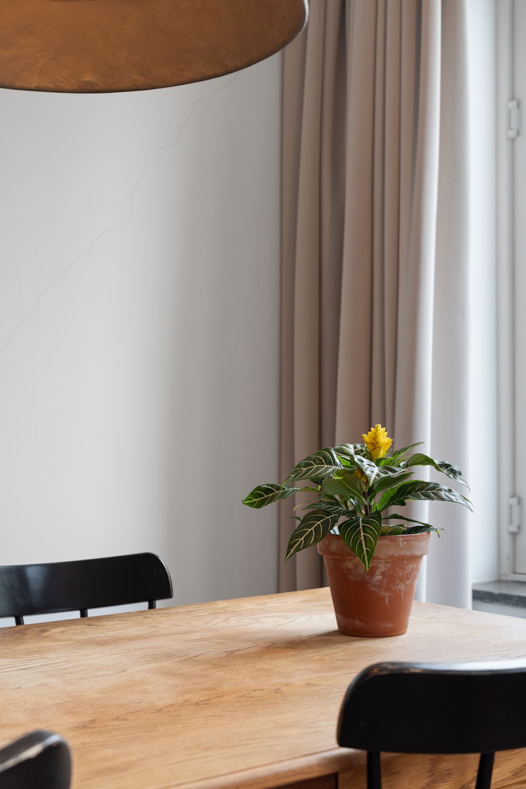 Foto 8 van Hoofdweg 336-1