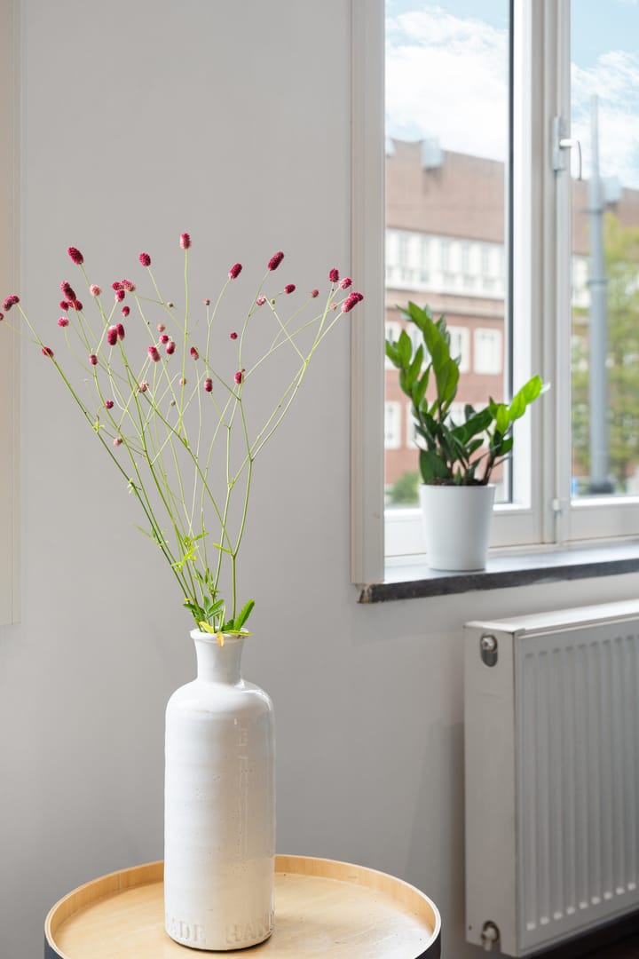 Photo 9 of Hoofdweg 336-1