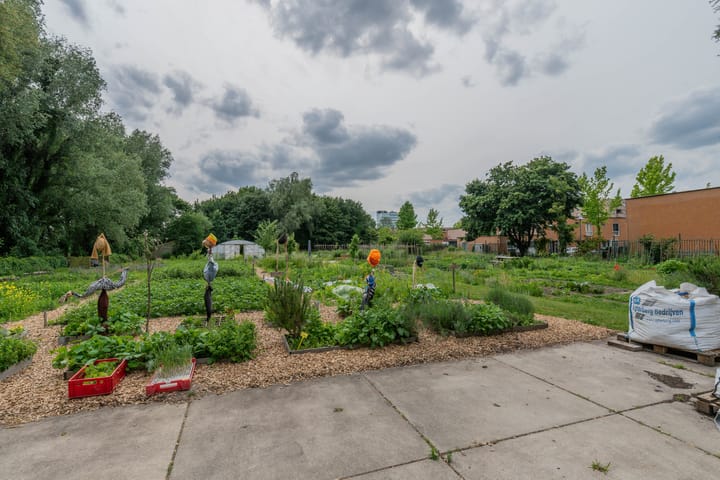 Foto 37 van Anna van Burendreef 49