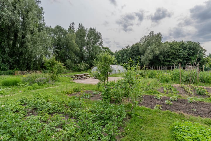 Foto 42 van Anna van Burendreef 49