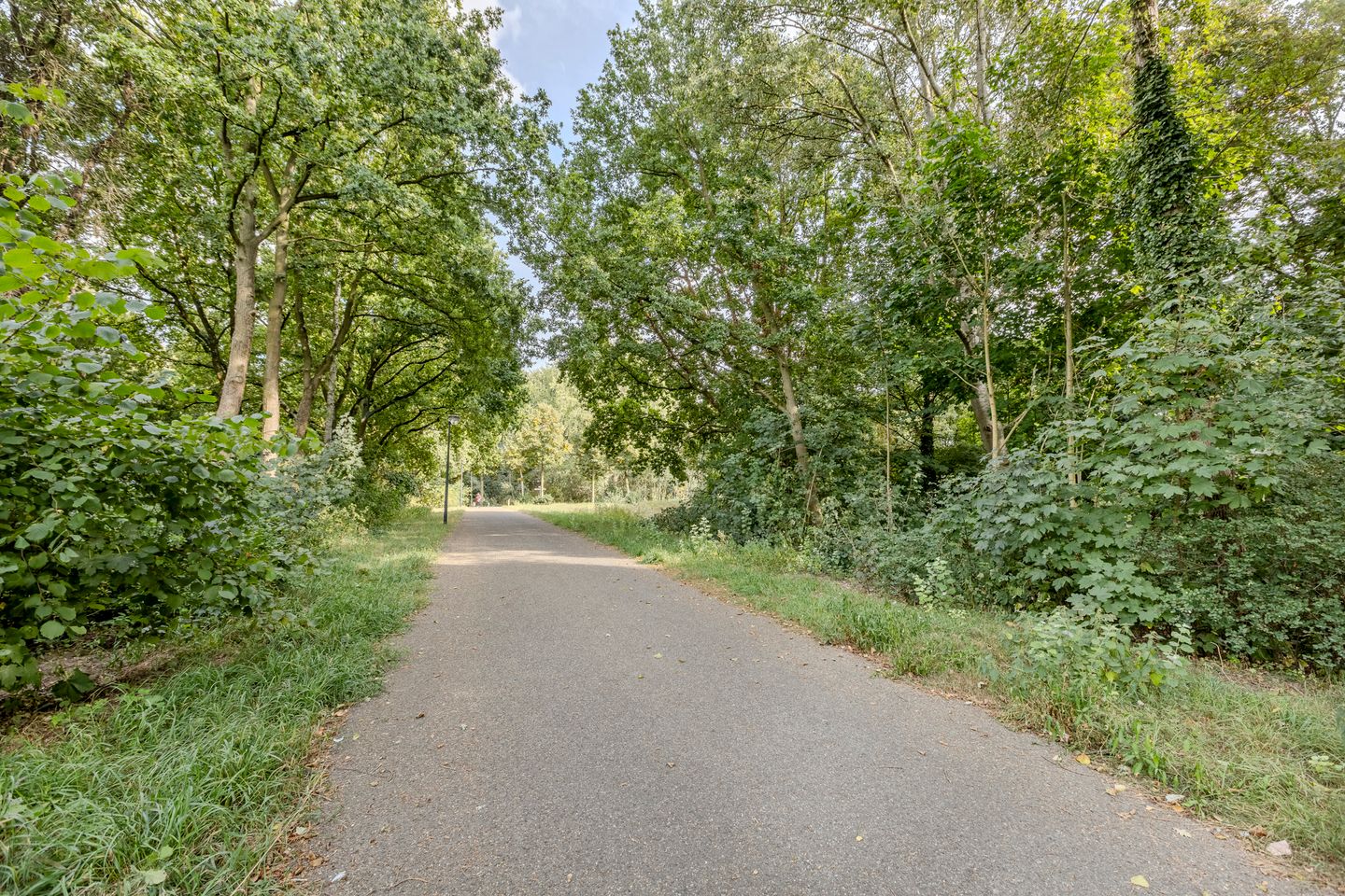 Foto 49 van Papendonk 36