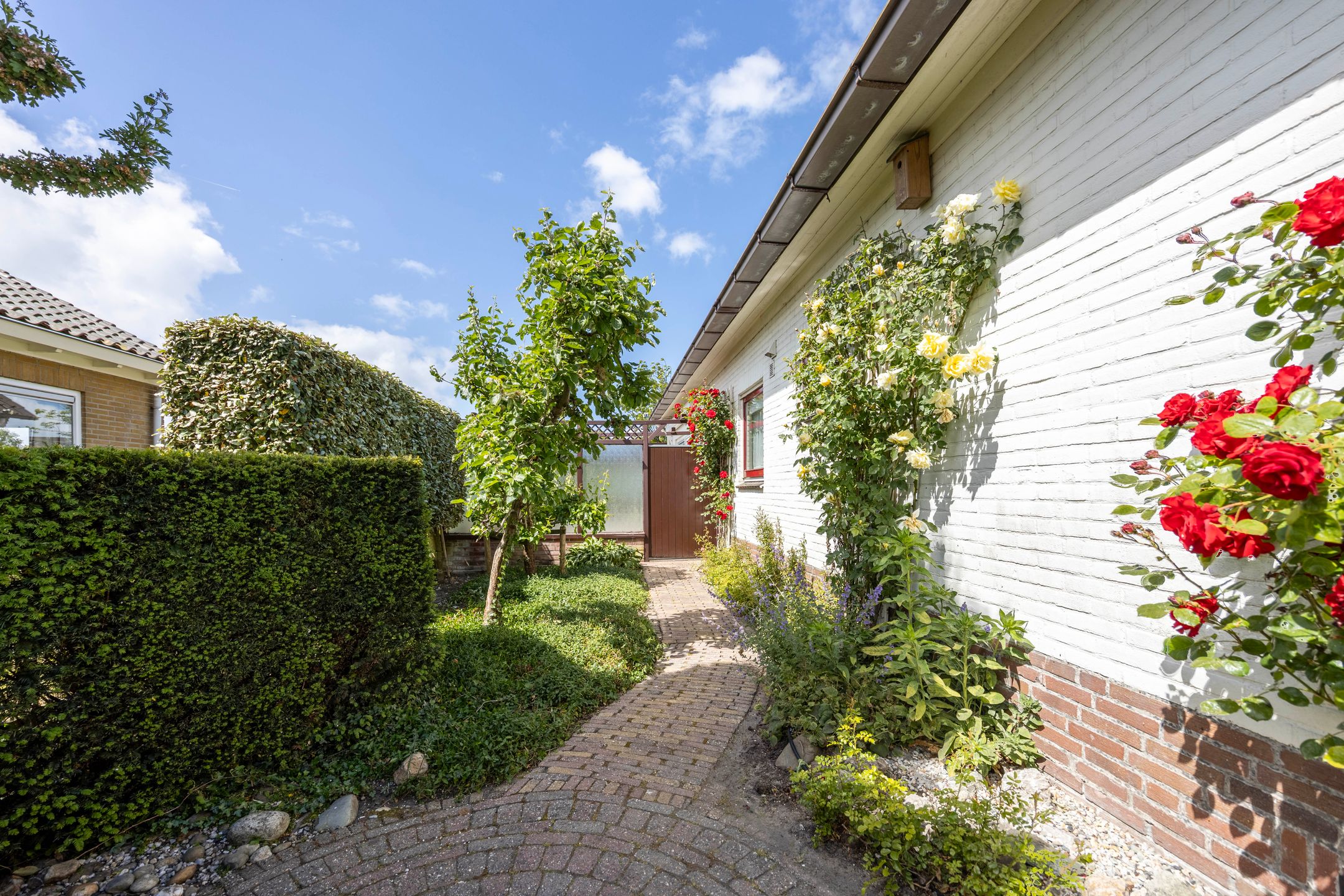 Photo 33 of Meeuwenlaan 7