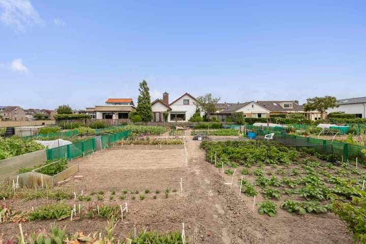 Foto 40 van Meeuwenlaan 7