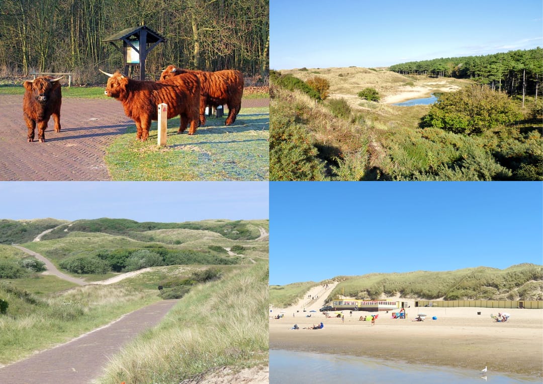 Photo 41 of Meeuwenlaan 7