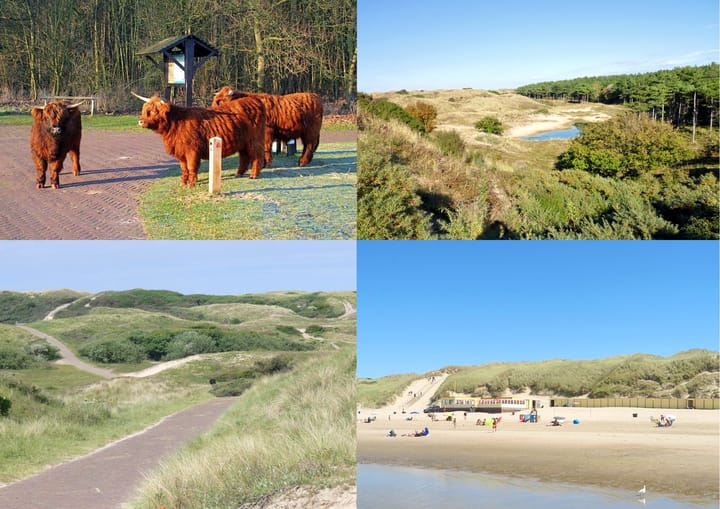 Foto 41 van Meeuwenlaan 7