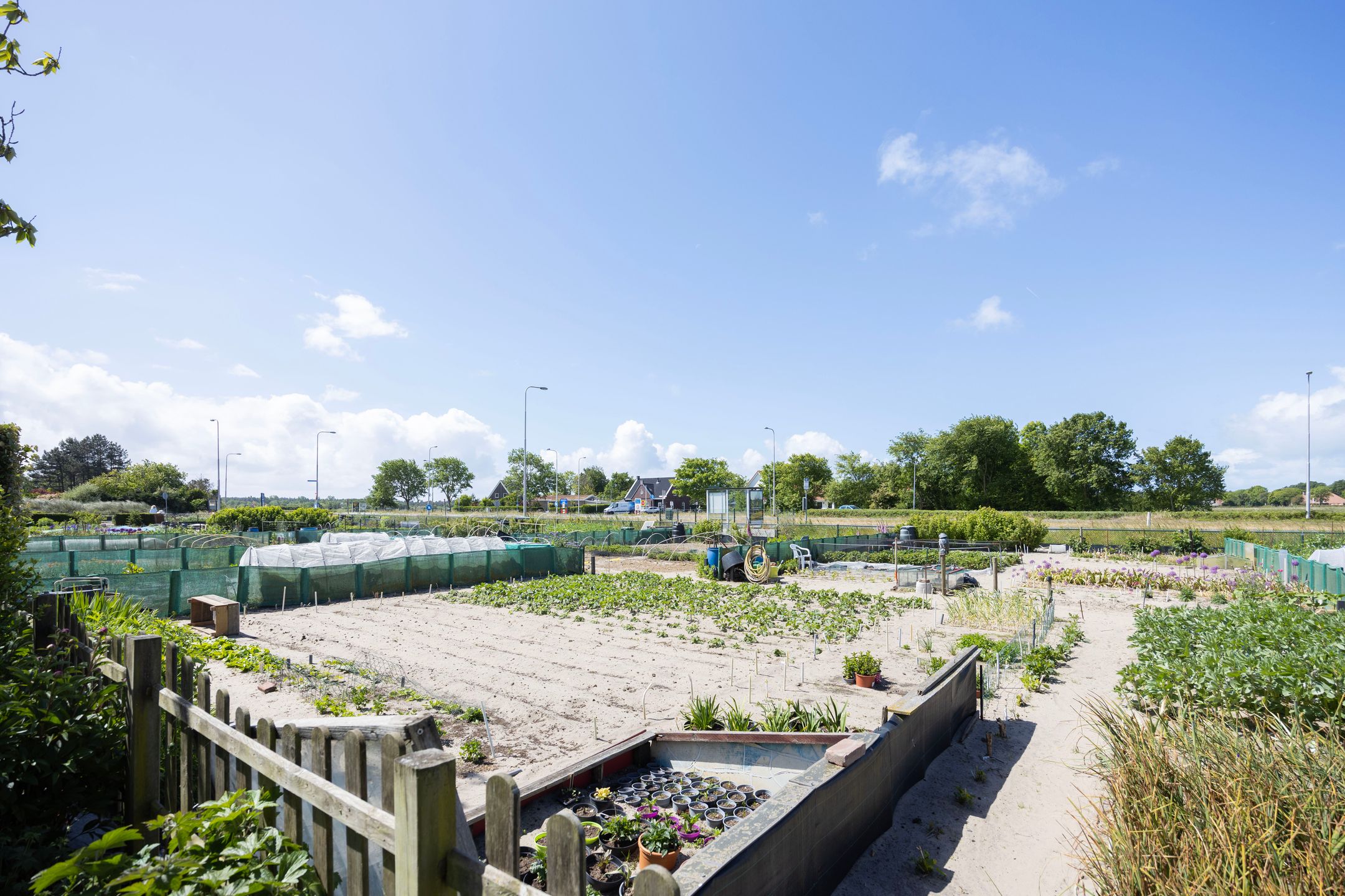 Photo 39 of Meeuwenlaan 7